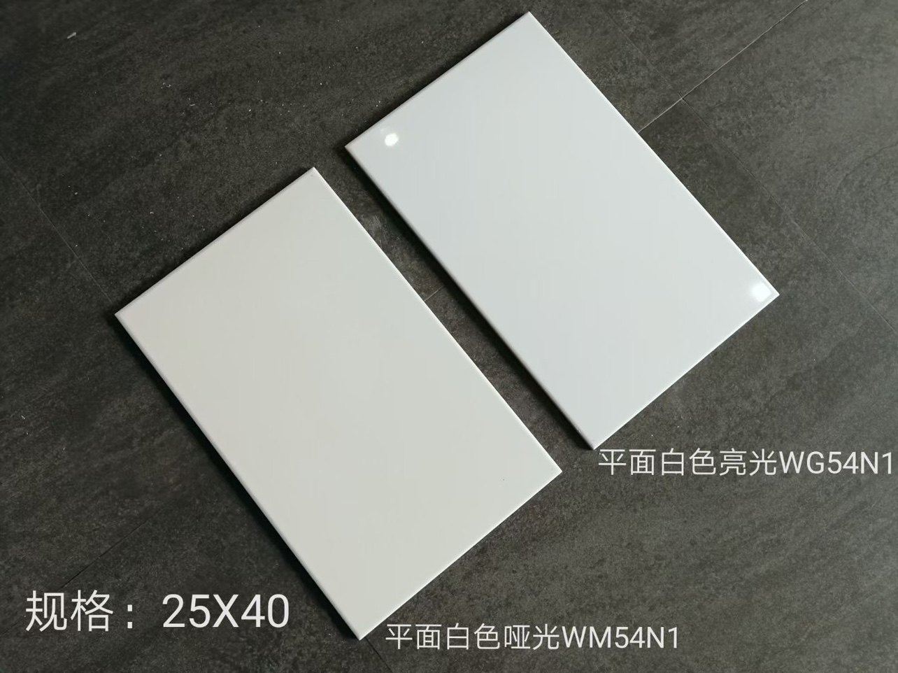 大白砖250x400全白平面亮光哑光釉面瓷砖厨卫瓷砖佛山瓷片不透水