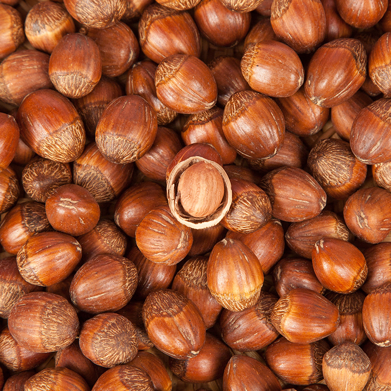 溪味道东北达维大榛子500克榛子