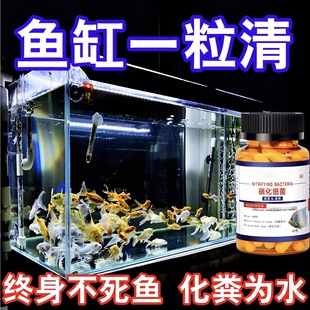 硝化细菌鱼缸用专用胶囊净水剂颗粒活菌干粉水质稳定净化水族鱼用