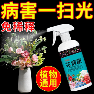 花病康植物花卉通用型花病康免稀释直喷型家庭园艺盆栽抗菌活性剂