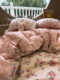 田园粉色小红花床上四件套全棉纯棉1.5m1.8米宿舍被套床单三件套