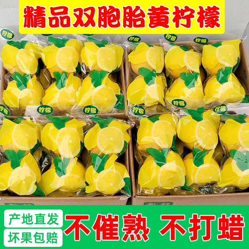 四川安岳黄柠檬精选双胞胎一级大果新