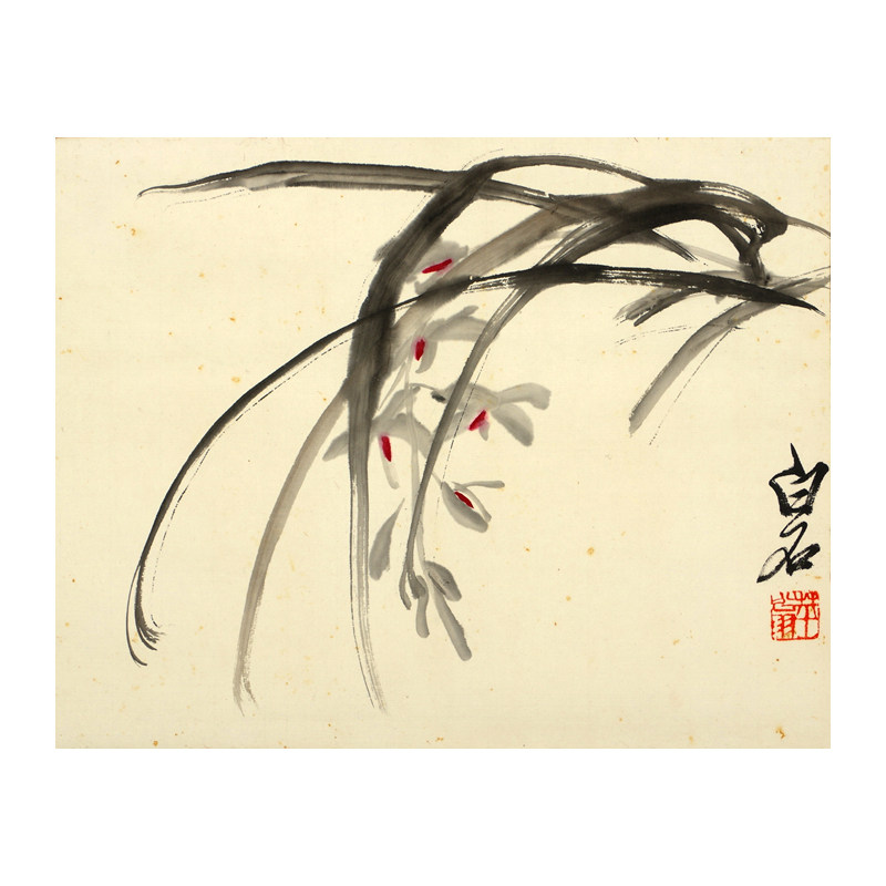 齐白石(款) 兰花图(附单国强鉴定证书,照片)