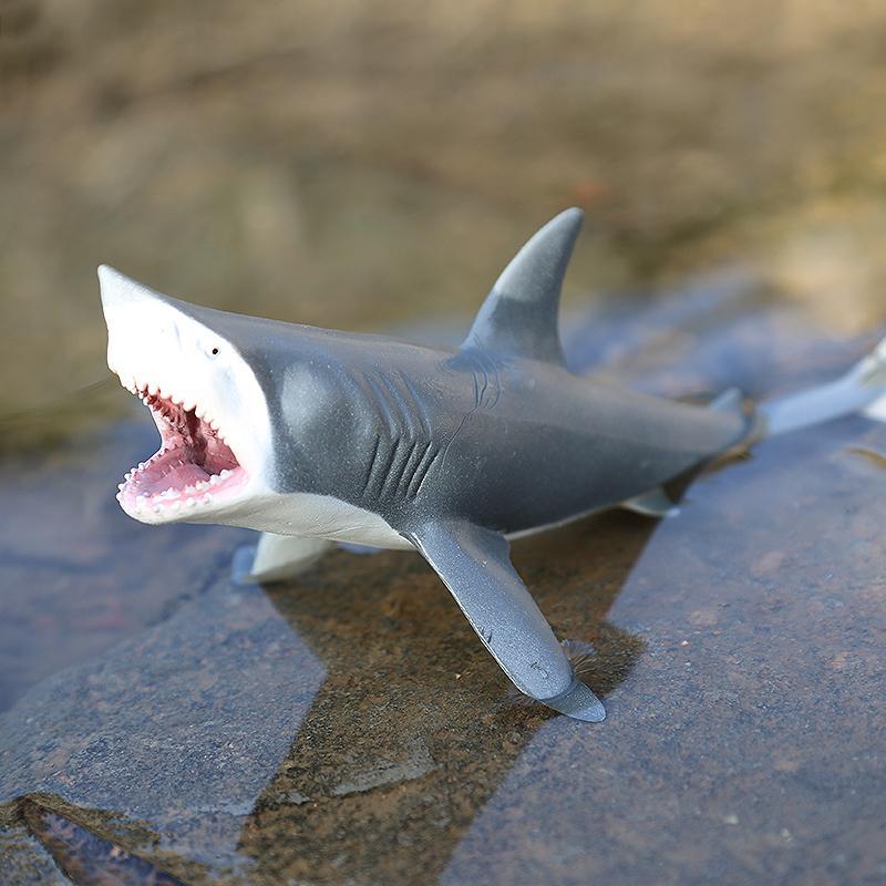 儿童仿真鲨鱼玩具大白鲨模型巨齿鲨旋齿鲨仿真动物鲸鱼海洋生物