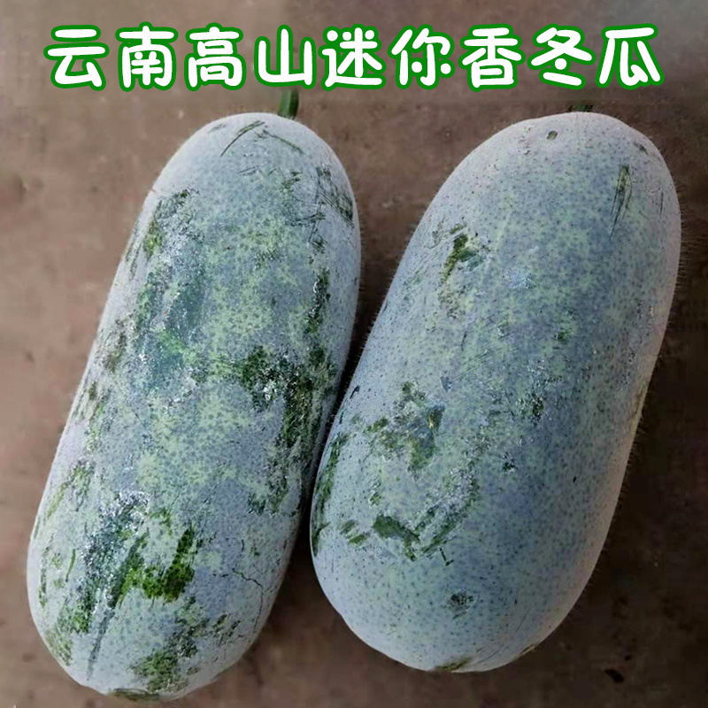 云南香冬瓜冰川翠玉袖珍迷你挂霜小冬瓜蜡粉高山糯面新鲜蔬菜清香