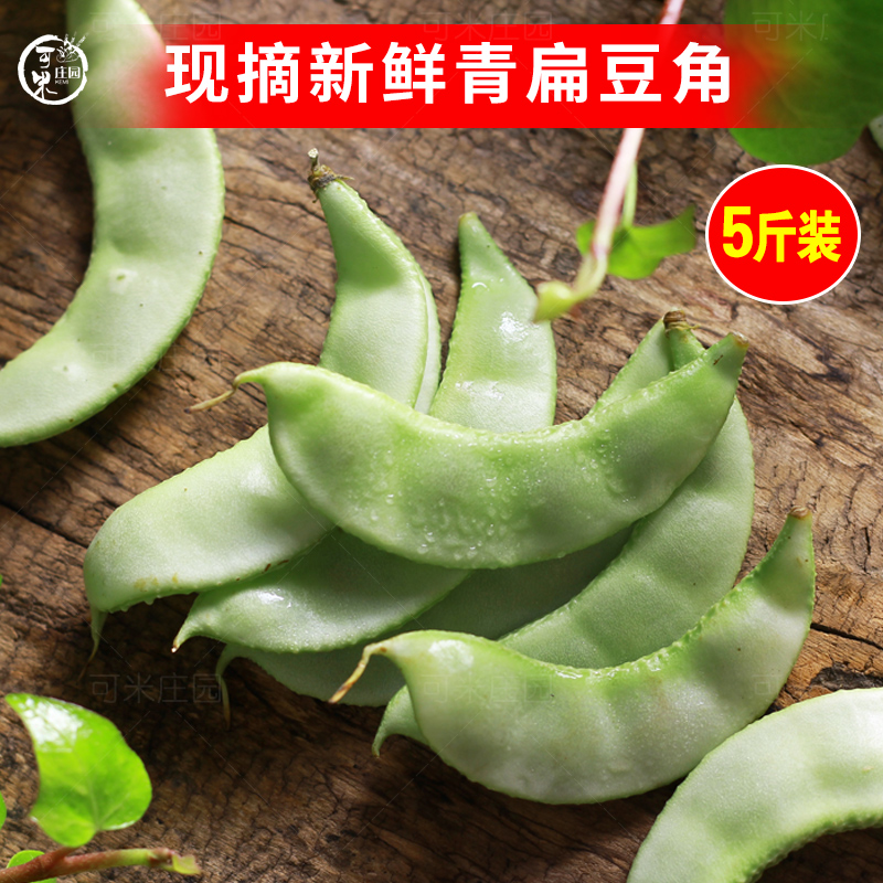 云南扁豆角茶树豆角新鲜蔬菜宽豆角当季现摘现发油豆角5斤包邮