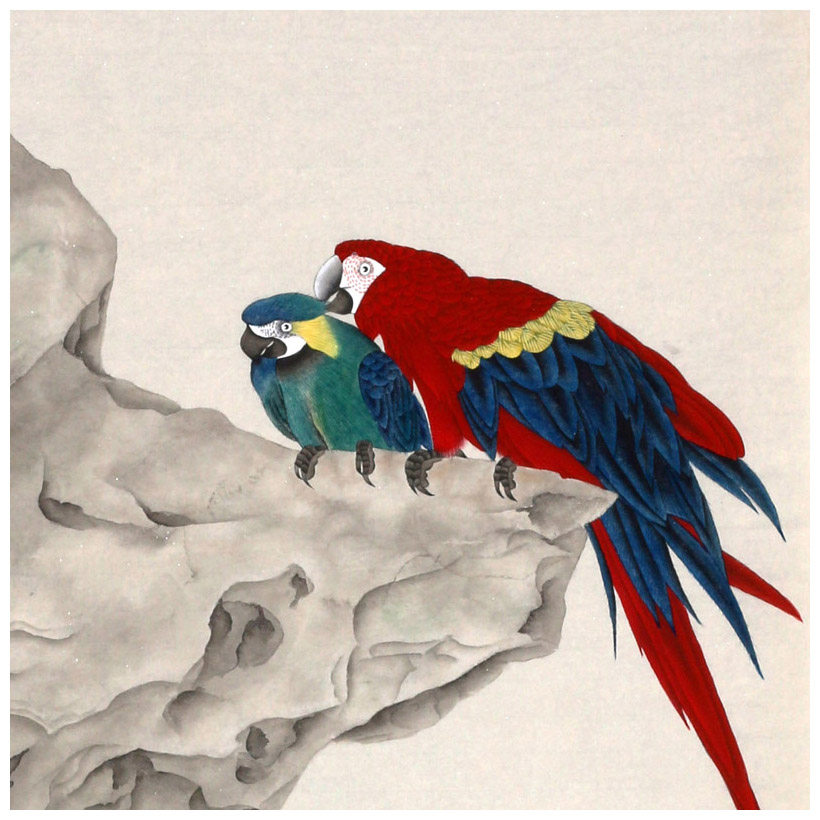 喻慧《鹦鹉》中美协会员 江苏国画院花鸟研究所所长