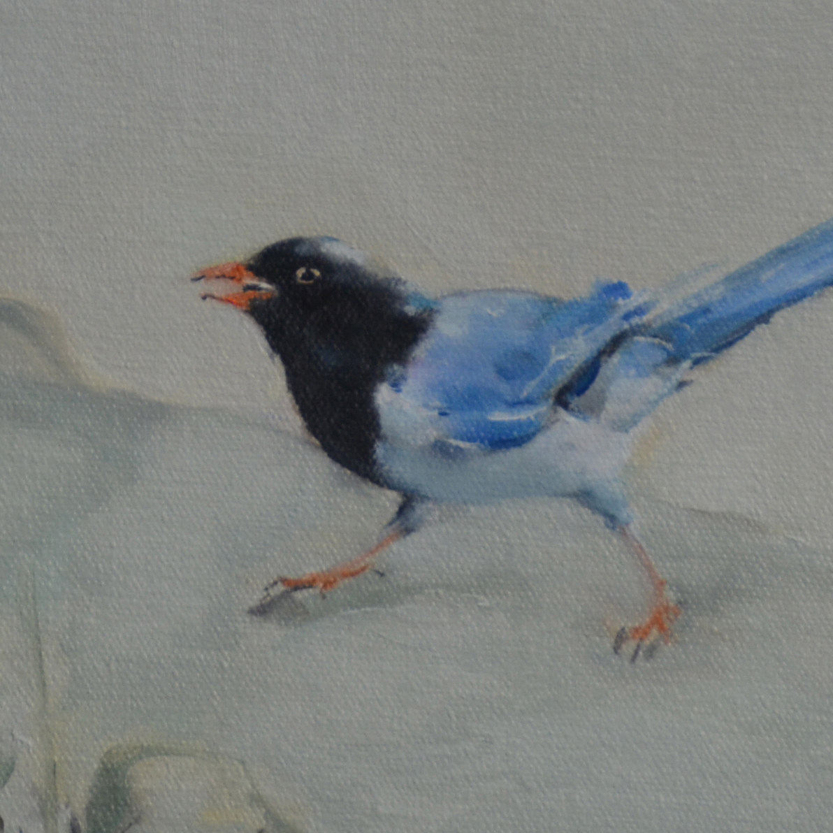 【双十二】匿名《喜鹊图3》布面油画