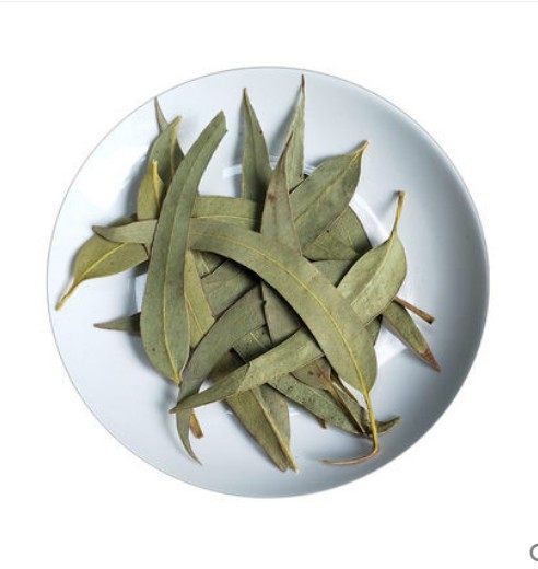 聚旭堂包邮桉叶500克g桉树叶蓝桉叶羊草果叶非野生中药材聚旭堂旗舰店