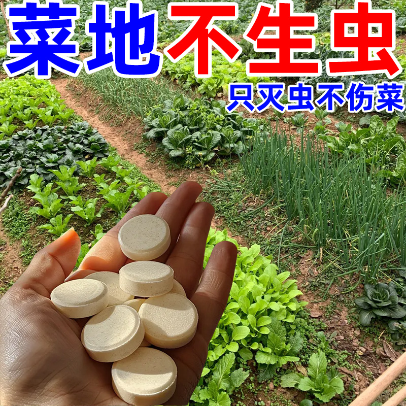 菜地园艺储粮防虫片糖化硼肥片绿植花