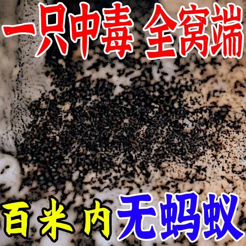 蚂蚁药家用室内除杀灭红火白蚁克星全窝一锅防治专用神器端非无毒