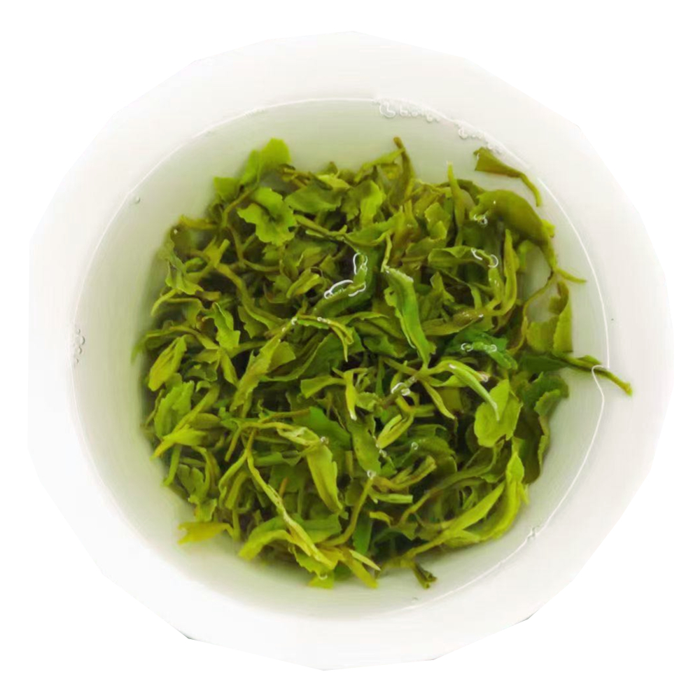 2022年明前 浓香日照绿茶 春季 新茶叶高山云雾 散装浓香500g包邮