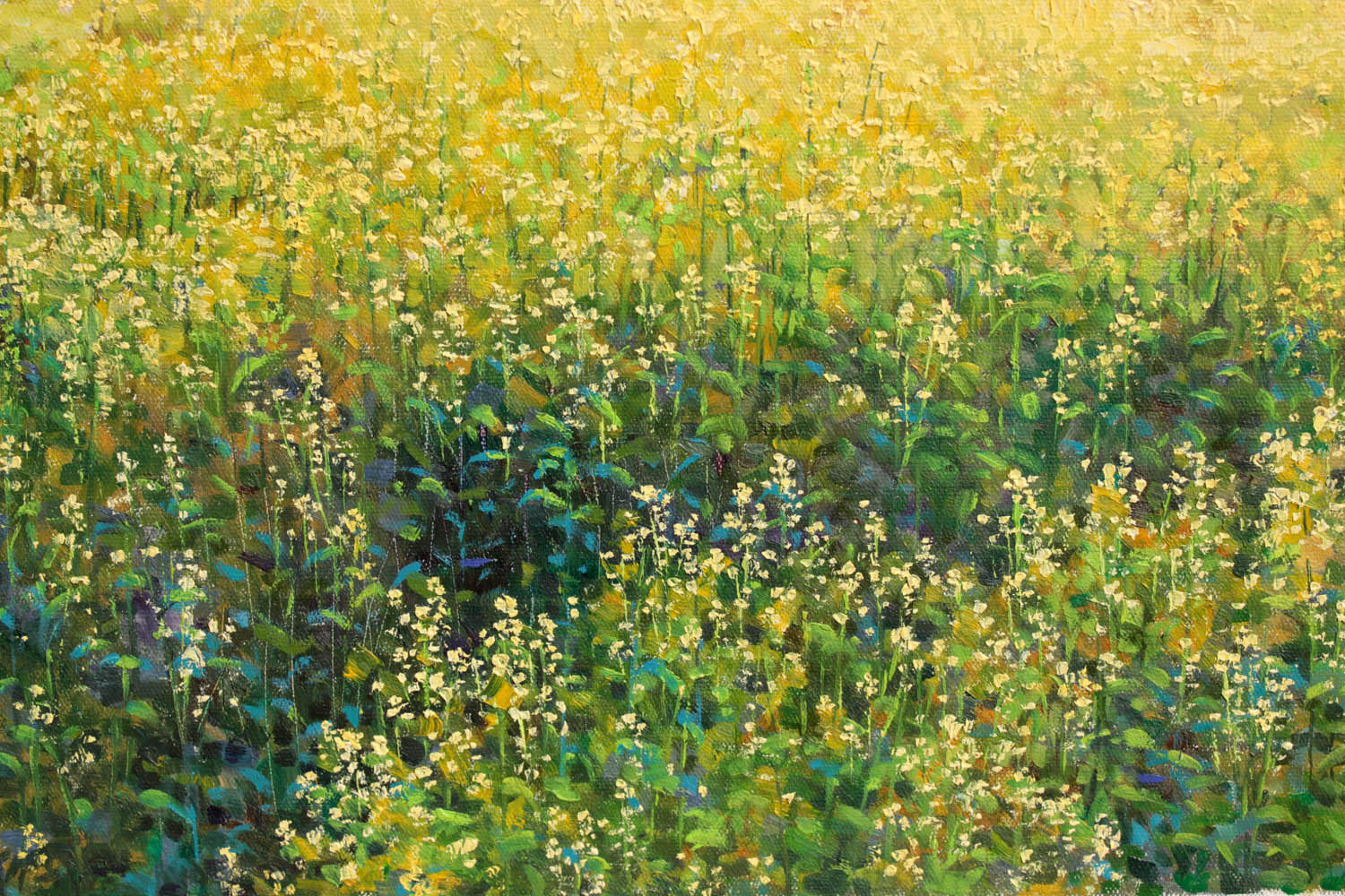 金光哲《野花遍地》朝鲜名家油画力作【白头山出品】