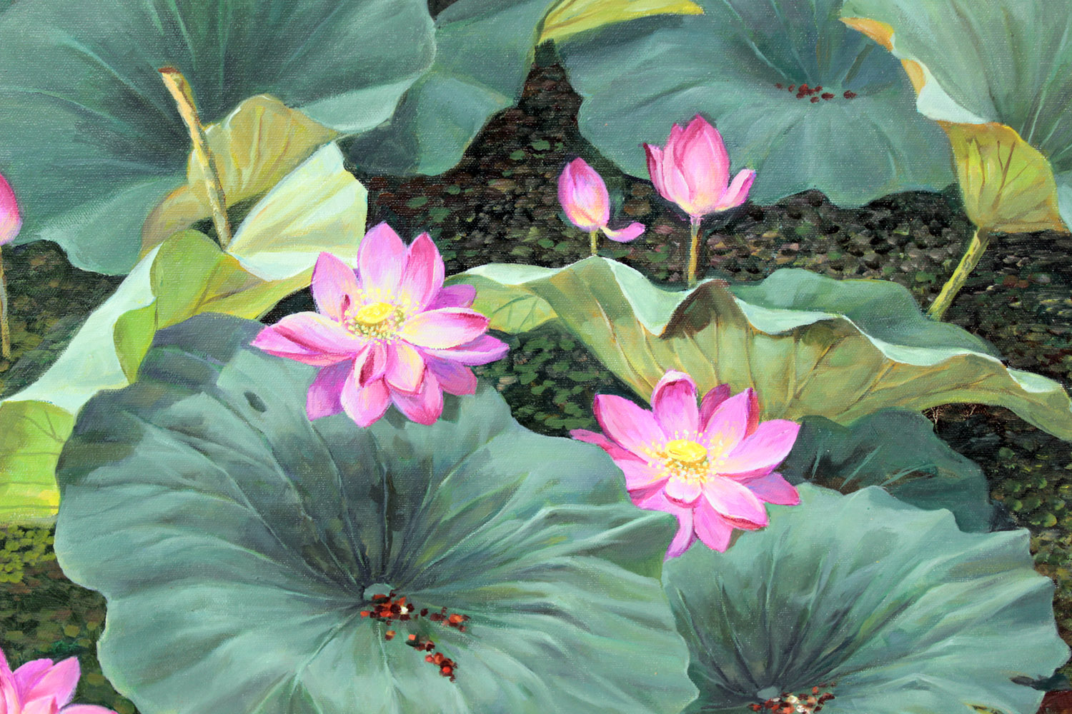 朝鲜名家 朴胜基 《荷花》 朝鲜油画 白头山出品