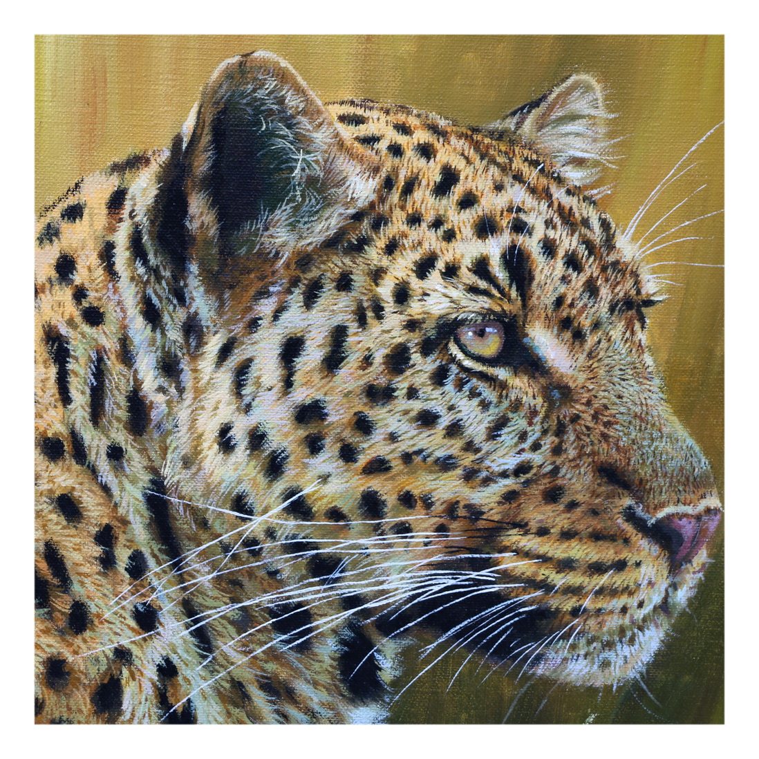 (朝鲜)何朱元《金钱豹》万寿台创作社 大卫画廊