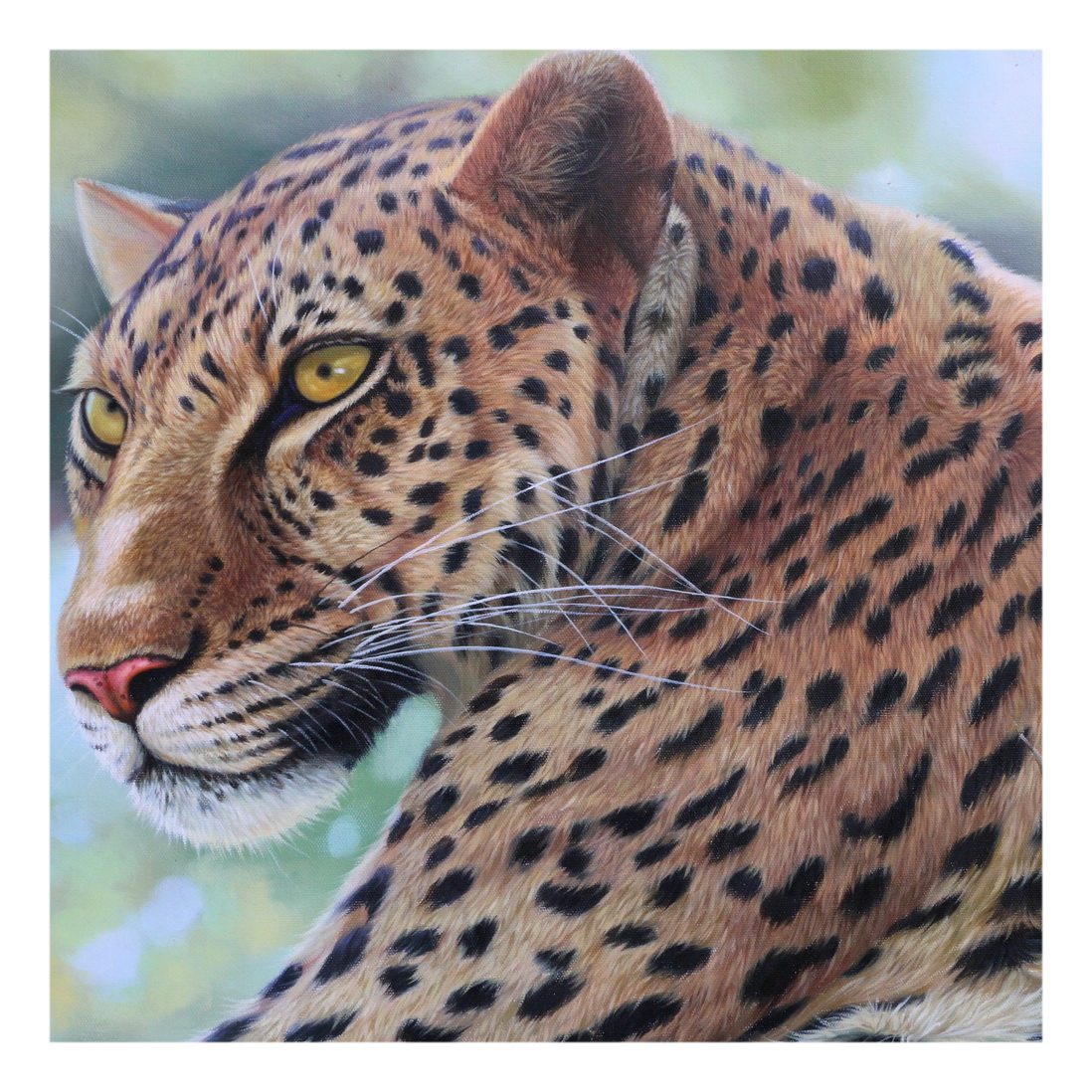 (朝鲜)功勋艺术家 李元哲《花豹》平壤创作社 大卫画廊