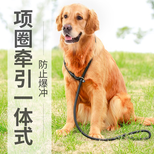 狗狗牵引绳大型犬小型中型犬伸缩训练泰迪金毛遛狗耐咬P字狗绳P链