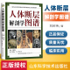 正版 人体断层解剖学图谱 刘树伟CT、MRI断层解刨影像彩色插图学习参考书 人体局部解剖学教程教材西医学书籍 山东科学技术出版社