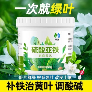 硫酸亚铁花肥料喜酸植物水溶肥防治黄叶调节酸碱度栀子花桂花茶花