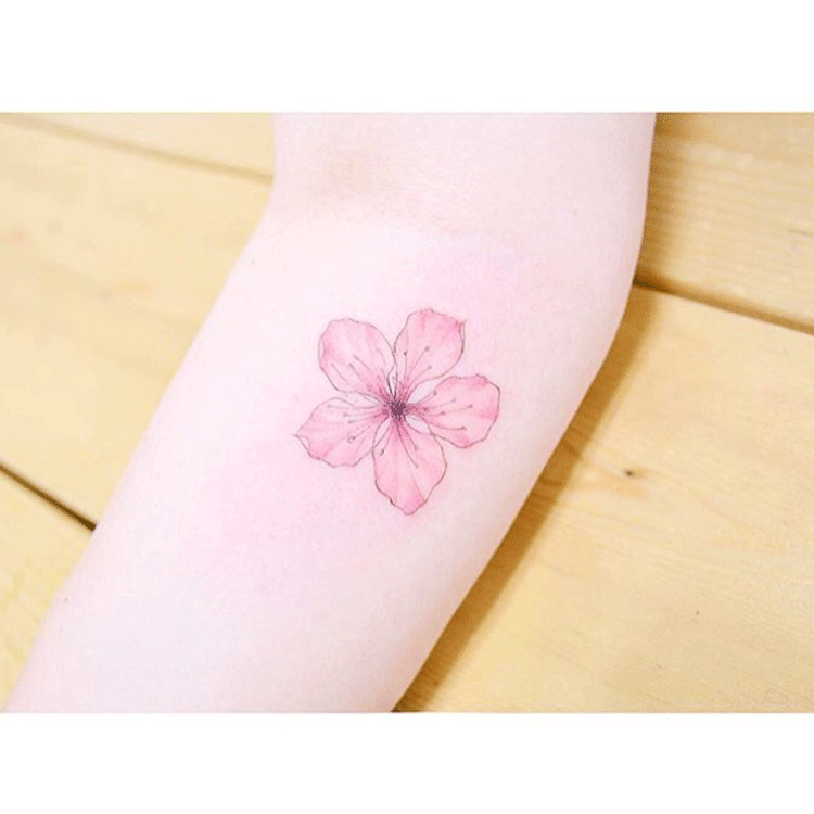 樱花_手绘花朵纹身贴樱花防水女生逼真韩国小清新脚踝文艺简约粉色