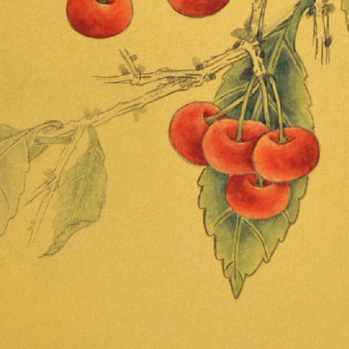 罗大华《金笺-樱桃》四川美术家协会会员