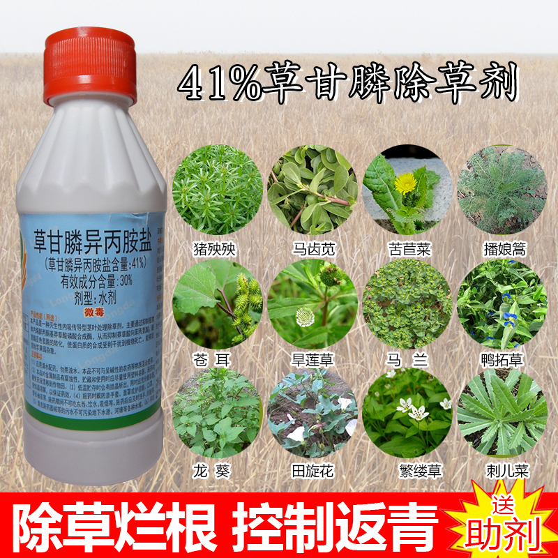 41%草甘磷除草烂根剂杂草灭草剂除