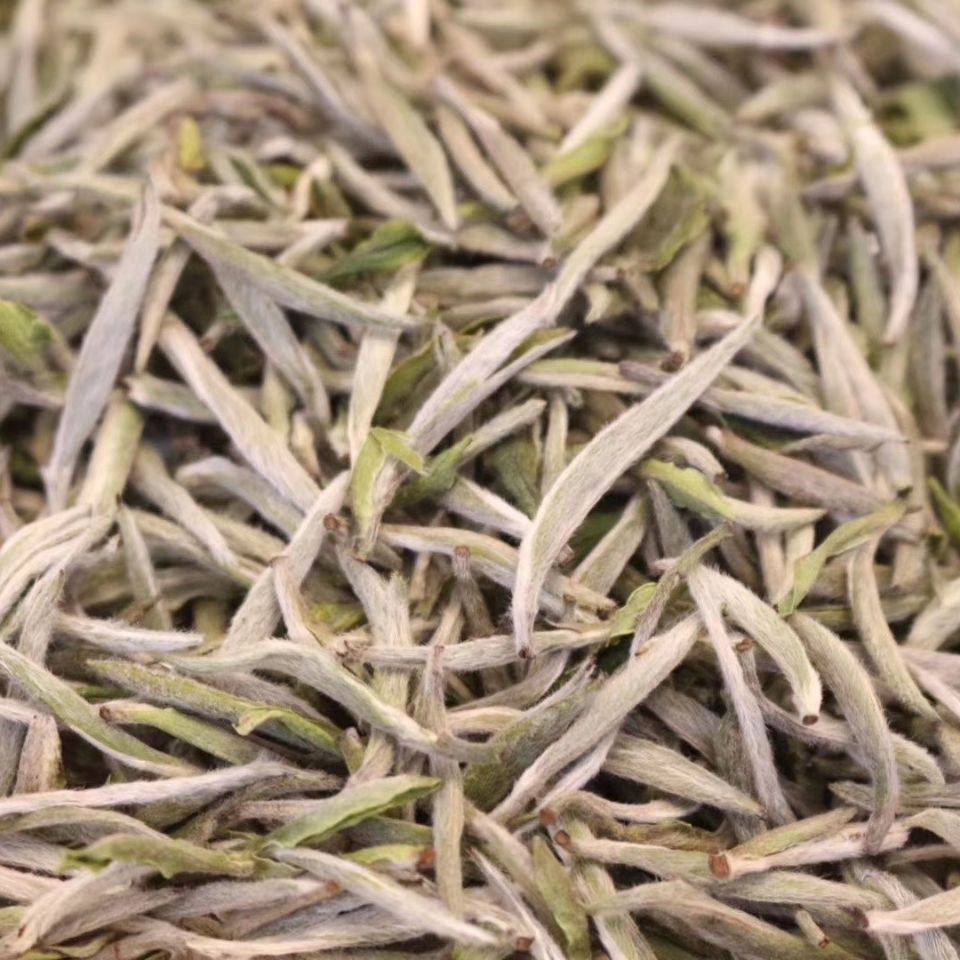 白毫银针白茶茶叶2022年水甜春季明前首日芽头采白豪银针300g