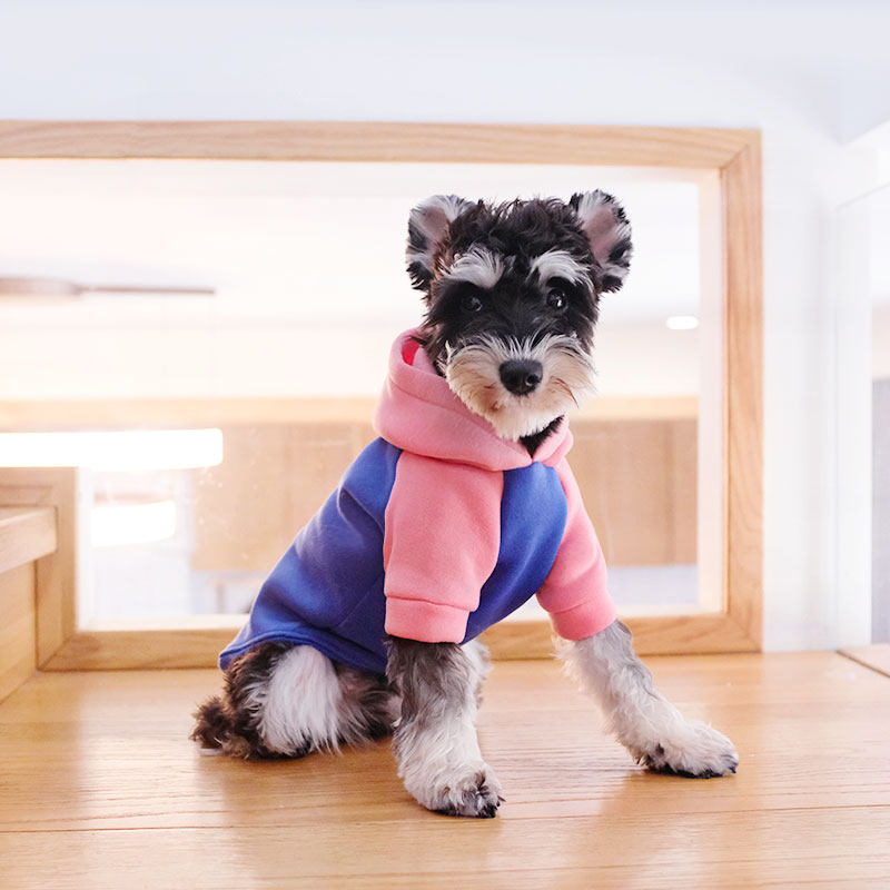 雪纳瑞衣服秋冬装网红时尚帽衫宠物猫咪秋季法斗小中型犬冬季卫衣