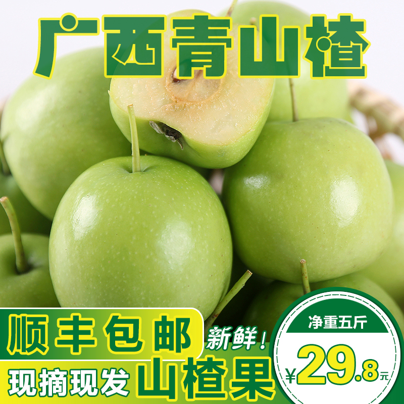 順豐包郵現摘廣西青皮山查果新鮮5斤包郵大肉青山查泡山查酸原料在類目 水產肉類/新鮮蔬果/熟食, 新鮮水果, 其它中 - 來自Buy2taobao.com提供專業的淘寶代購服務