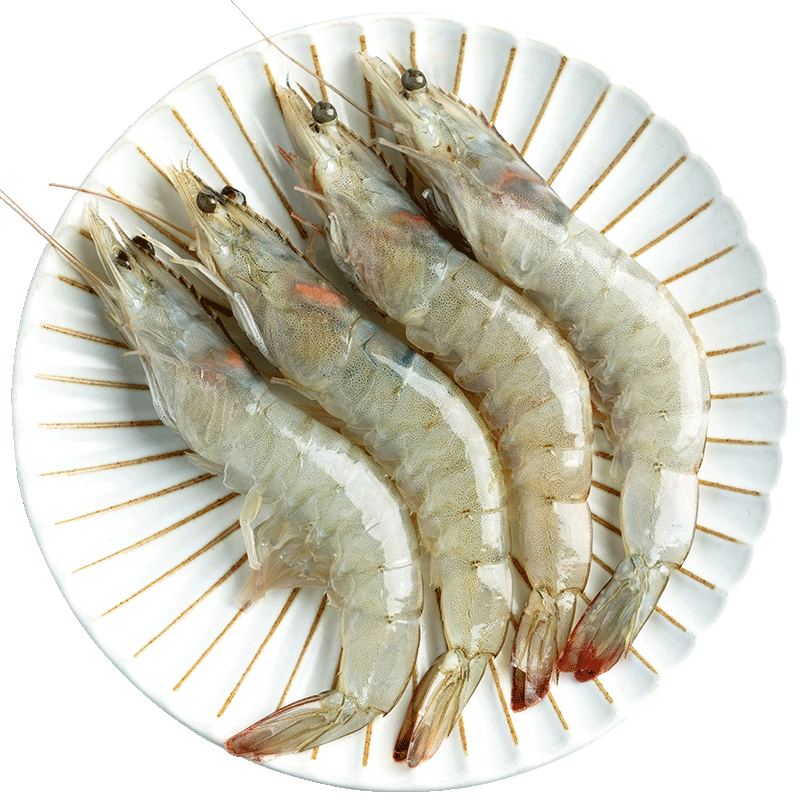 南美白对虾新鲜大虾鲜活超大速冻基围虾特大青虾国产海捕虾类海鲜