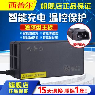 西普尔电瓶动车充电器48v12ah宝岛60v20爱玛72v小刀30ah欧派国标