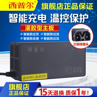 西普尔冠能电动车充电器48v12ah60v20a72v石墨烯电瓶三圆柱线