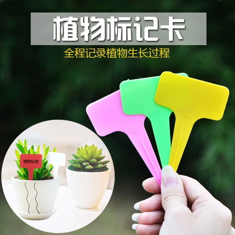包邮植物标签园艺标签T型多肉标签彩色指示牌微景观防水插地牌|ruв категории доставка цветов/цветок моделирования/растения садоводства, садовых принадлежностей, других садовых принадлежностей - от Buy2taobao.com для оказания профессиональной услуги покупки агента Taobao