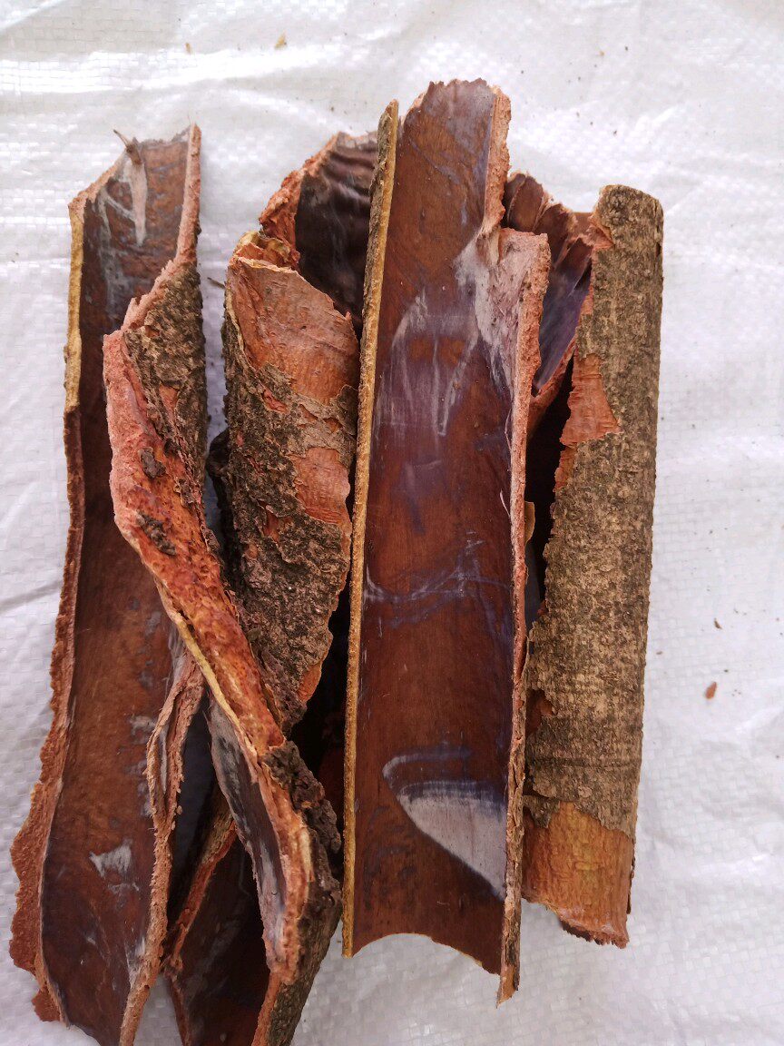 广东梅州山区野生杨梅树皮晒干无硫杨梅树皮中药材500克