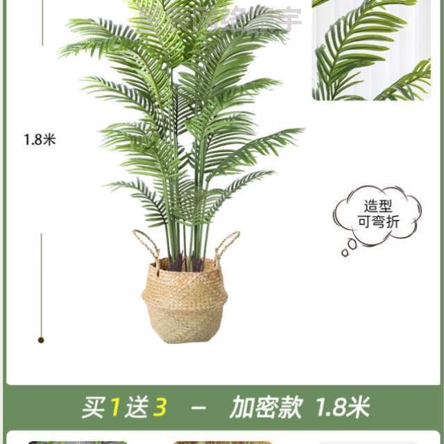 &生散尾葵真绿植室内装饰盆栽花树造景植物落地摆件客厅轻奢假