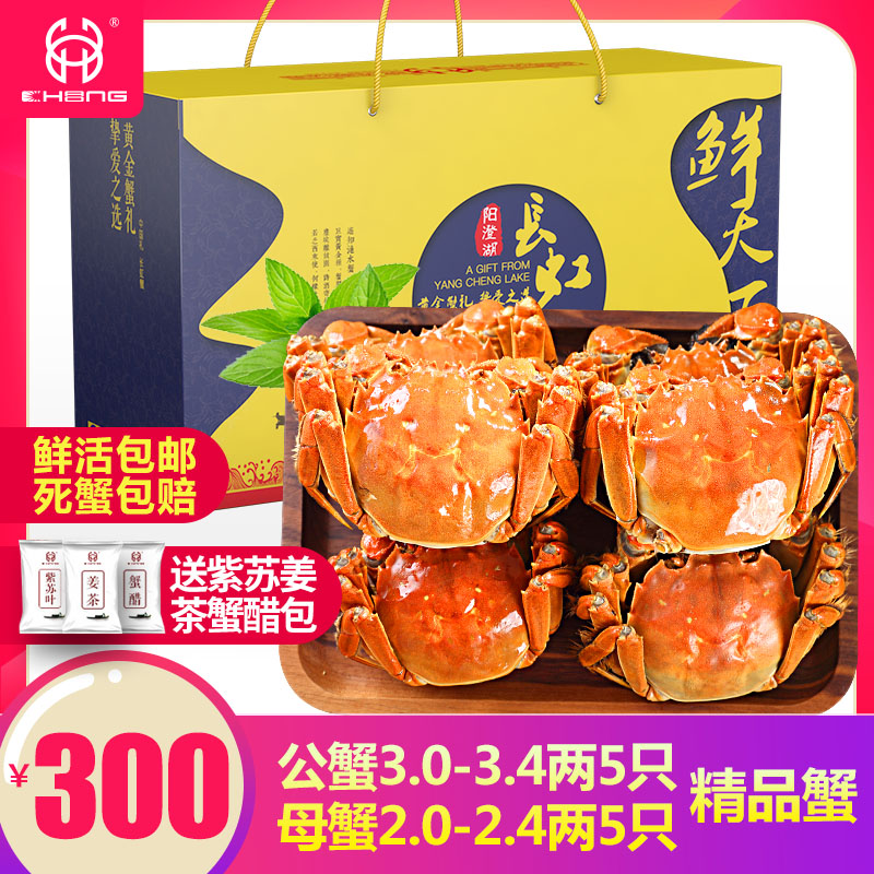【活蟹】长虹礼蟹A型3.0公蟹2.0母蟹10只装鲜活螃蟹阳澄湖大闸蟹|ruв категории водной мясо/свежие фрукты и овощи/еда, морепродукты/водные продукты/изделия, краб, краб - от Buy2taobao.com для оказания профессиональной услуги покупки агента Taobao