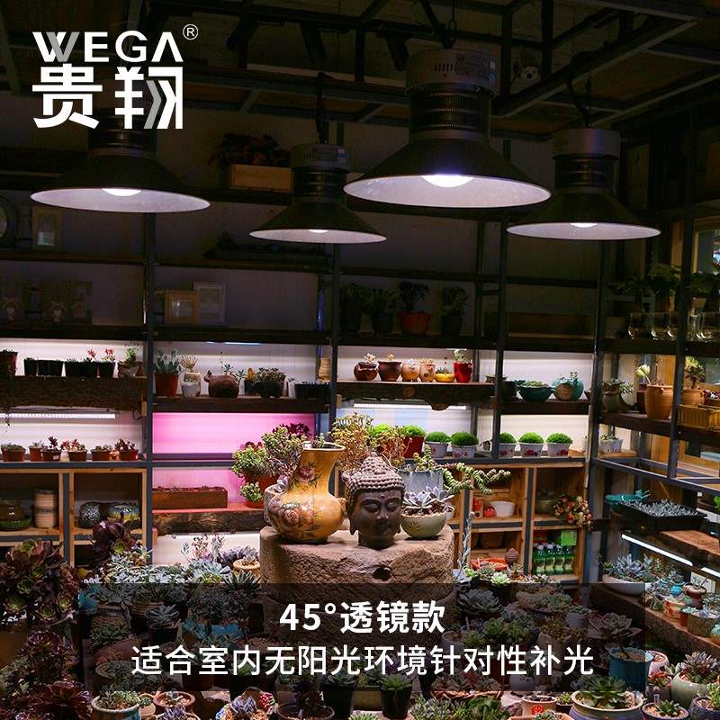 蔬菜补光灯全光谱植物温室大棚室内多肉兰花仿太阳光生长灯|ruв категории награду материалов, огни освещения, функциональный светильник, вегетативная лампа - от Buy2taobao.com для оказания профессиональной услуги покупки агента Taobao