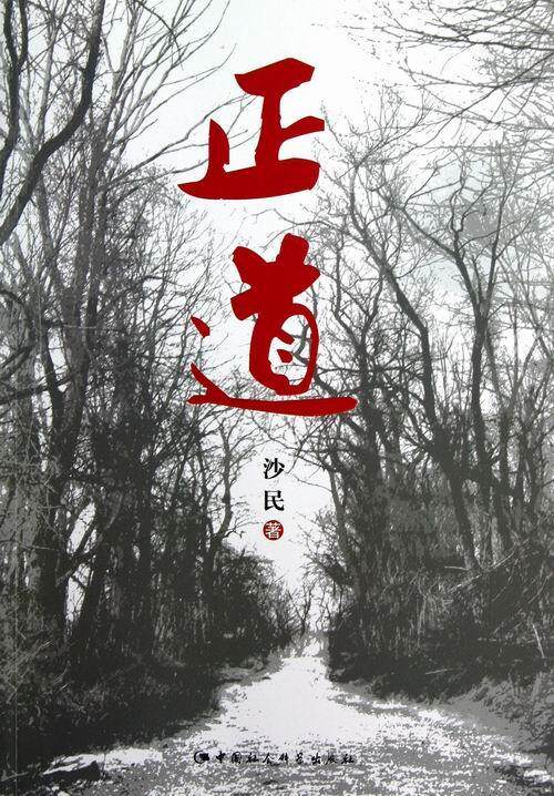 正版正道9787516120422沙民中国社会科学出版社小说书籍其它小说