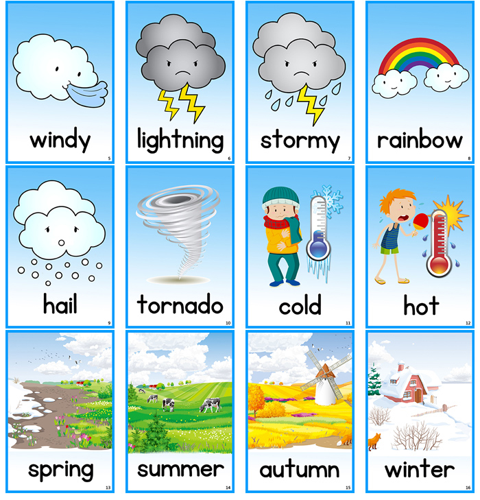 weather天气seasons季节四季英语单词卡片宝宝早教幼儿英文教具启