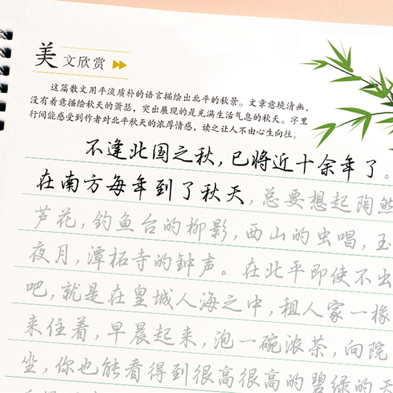 练字帖经典美文手写体字帖练字本大学生行楷字帖成人成年行书硬笔练