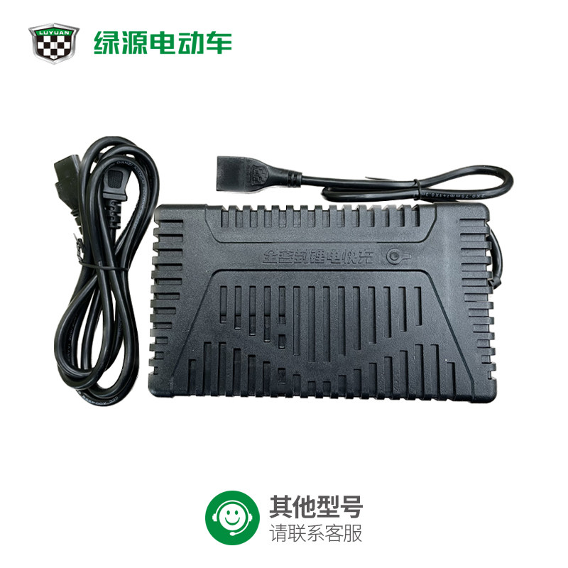 绿源电动车锂电池专用充电器48v快充自动断电原装配件官方正品