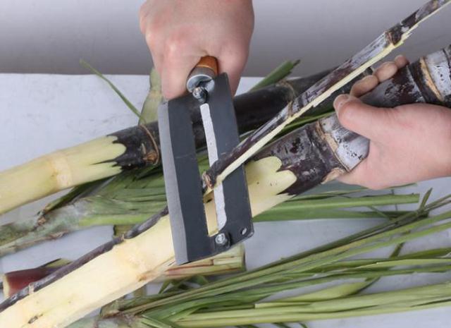 蔗刀甘蔗刨削皮刀_菠萝皮蔗刀砍甘蔗剥皮菠萝刀削皮器手动神器店铺