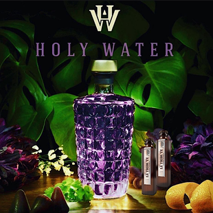 心心念念的紫色 HOLY WATER GIN比利时手工圣水金酒杜松子酒500ML