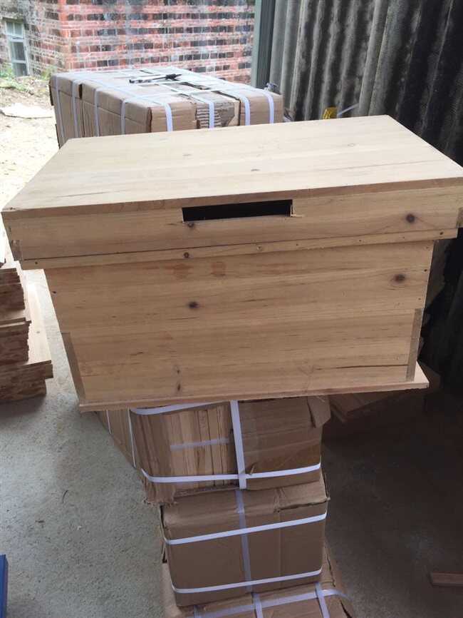 中蜂箱杉木箱烘干小型七框箱育王箱养蜂工具土养箱厂家直销厚包邮