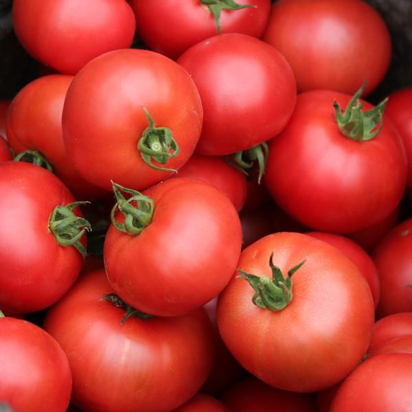 大西红柿番茄10当季整箱新鲜蔬菜 券后39.6元包邮