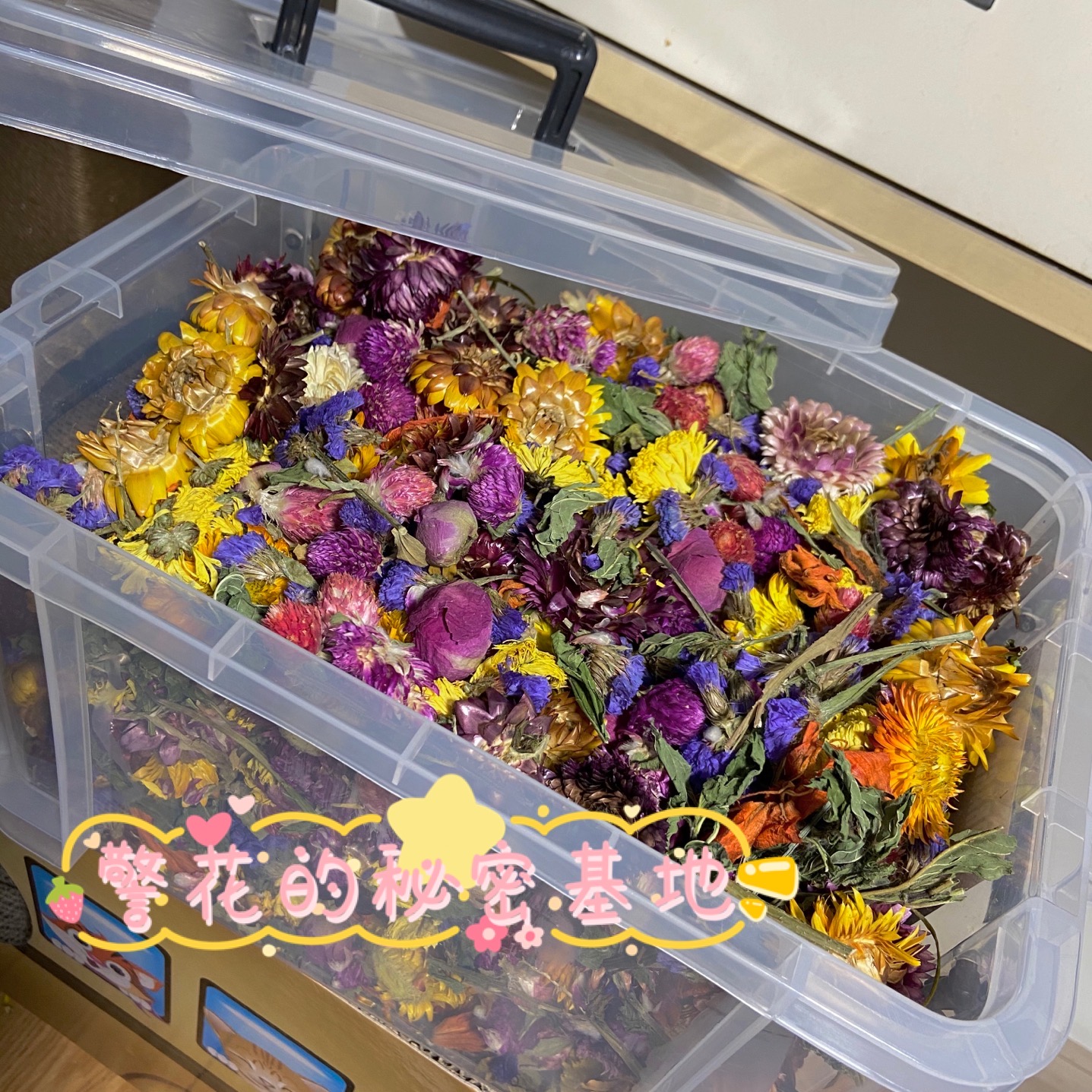 随便花 花草垫料仓鼠木屑除臭冬天笼子造景装饰金丝熊窝过四季通