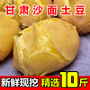 甘肃定西土豆新鲜老品种当季蔬菜黄心马铃薯新挖10斤整箱沙面洋芋 甘肃定西土豆新鲜老品种当季蔬菜黄心马铃薯新挖10斤整箱沙面洋芋