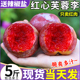 现货5斤红心芙蓉李新鲜李子水果当季特大三华李脱骨孕妇包邮9