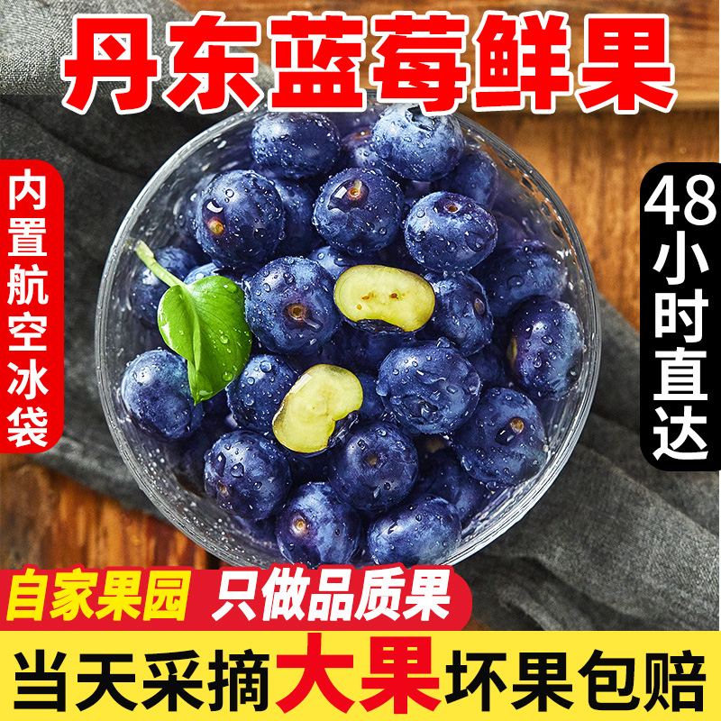 丹东新鲜蓝莓鲜果大果蓝梅水果当季孕妇水果蓝莓4/6盒装顺丰包邮