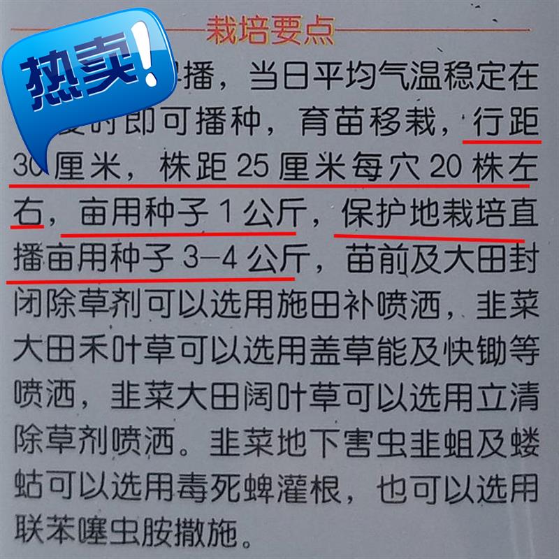 高产韭黄韭菜种籽子孑叶片肥厚金黄茎杆银白抗寒病抗倒伏四季蔬t